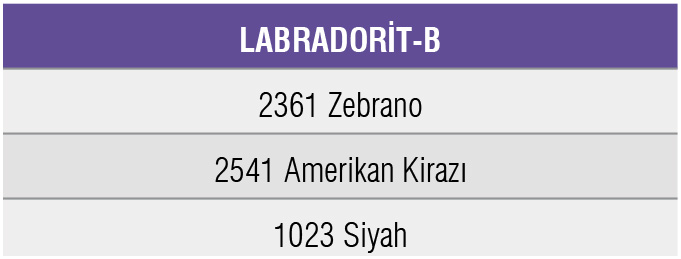 LABRADORIT-B -Pelilam Laminat Kaplama